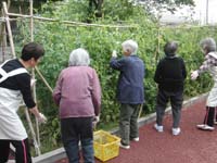 入居者が園芸活動をしている様子。野菜や植物の世話をしながら交流を深めている。